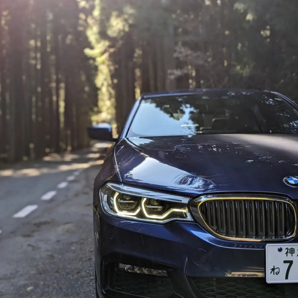 bmw in the forest…