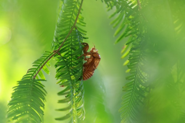 【9月9日火曜日の営業について】